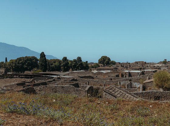 Full-Day Pompeii & Herculaneum Day Trip from Naples with Vesuvius Views & Skip-the-Line Tickets