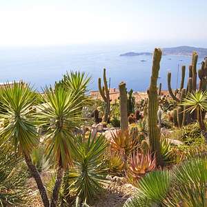 nice to eze day trip