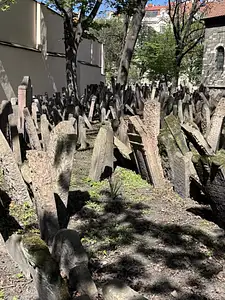 Photo Shared by Jacqueline with their review