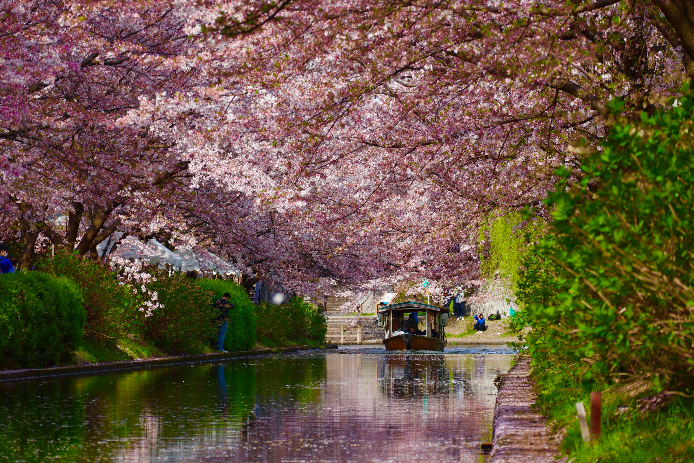 Kyoto Private Walking Tours