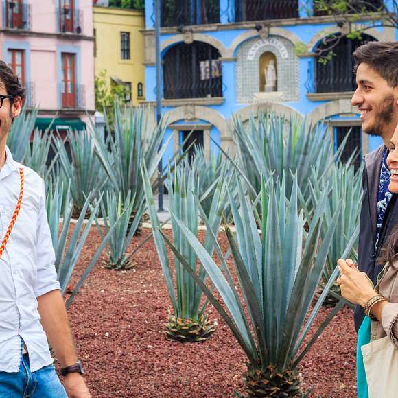 mezcal tasting mexico city