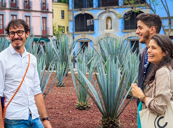 Mexico City Mezcal and Tequila Tasting Tour