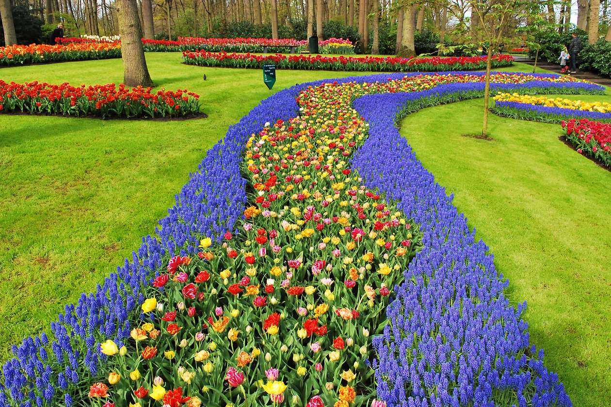 keukenhof gardens tour