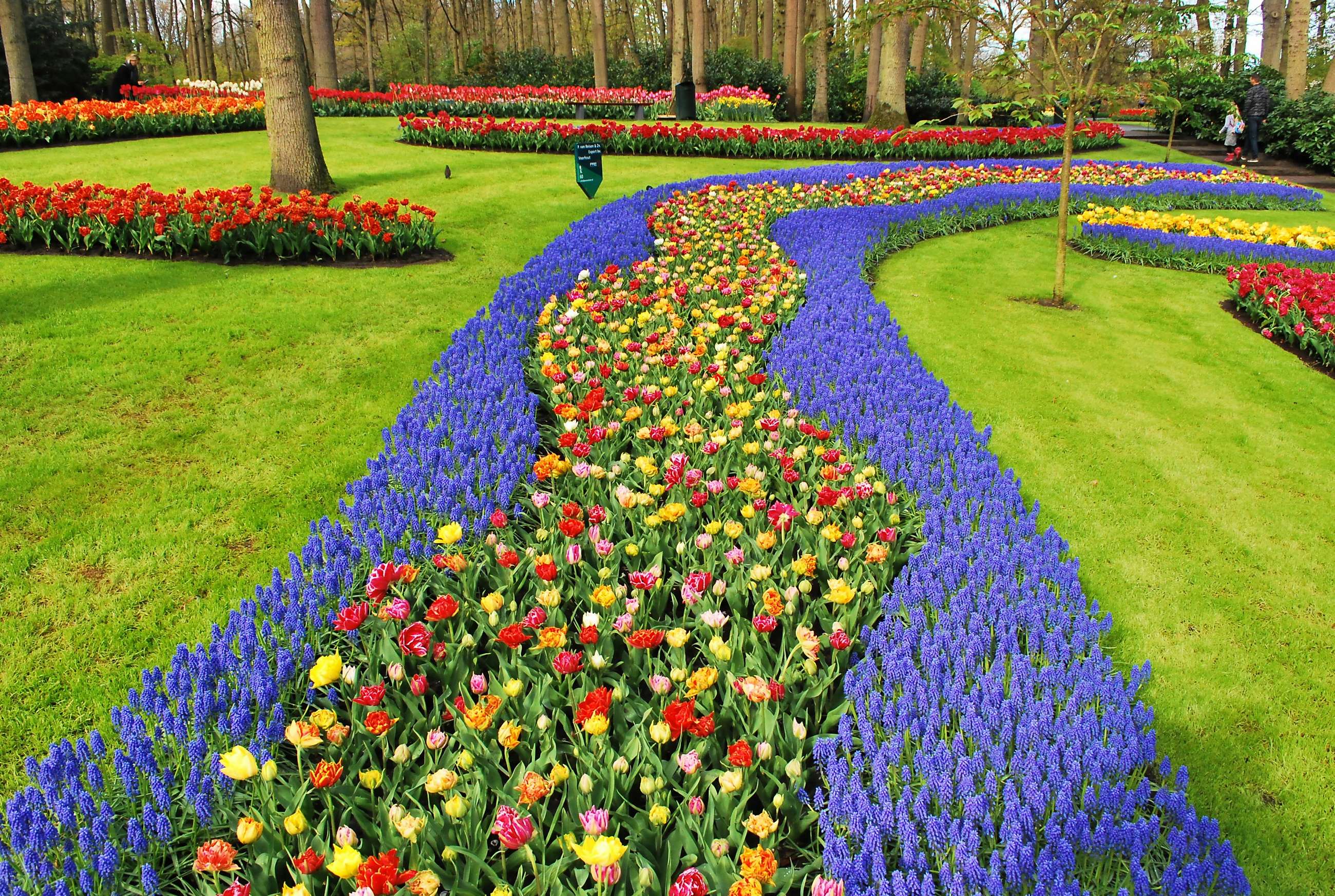 keukenhof gardens tour