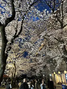 Photo Shared by Jill with their review