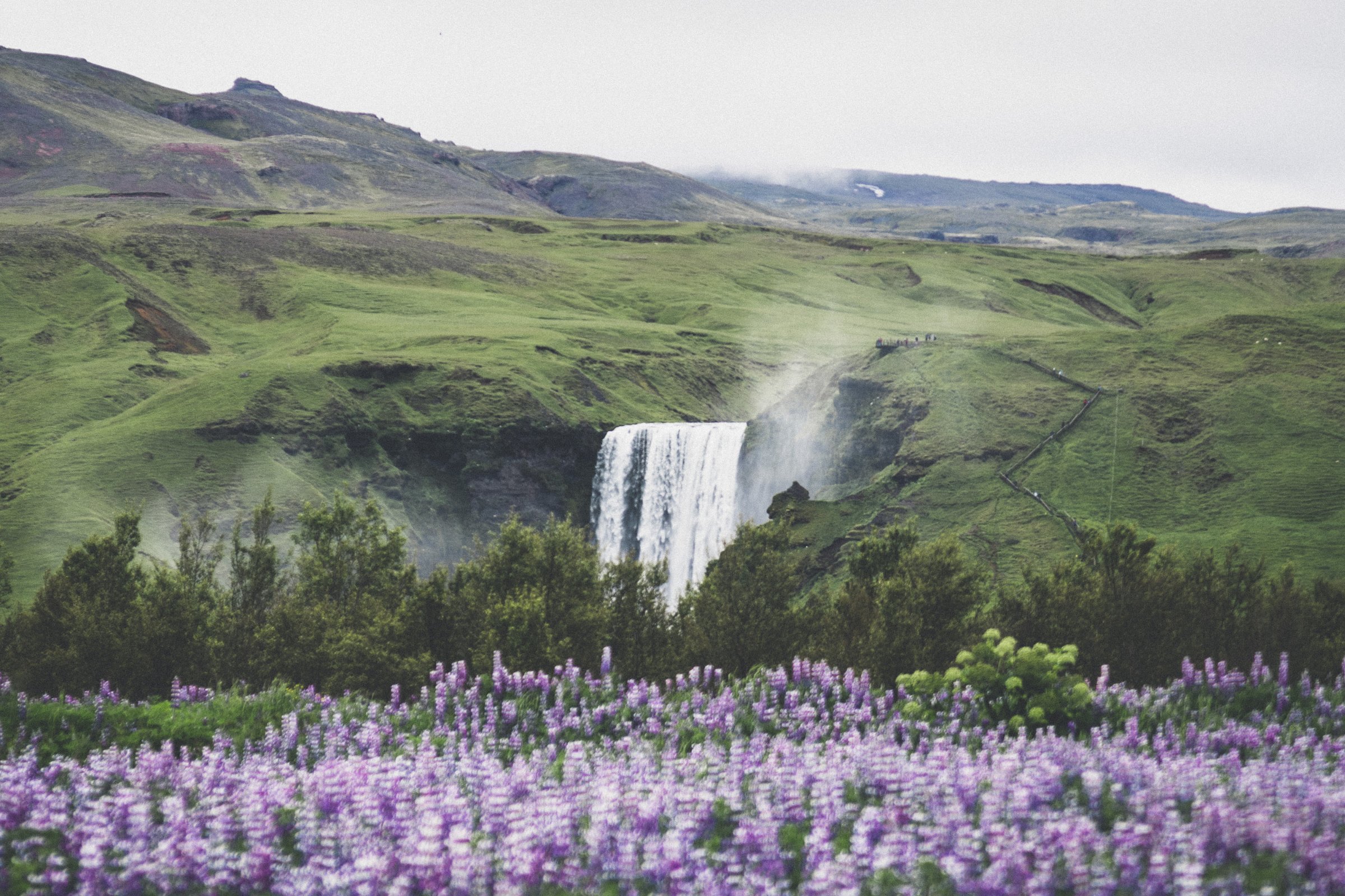 south coast iceland tour from reykjavik