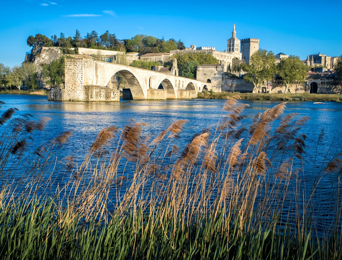 Avignon Highlights Tour: Papal Palace and Pont