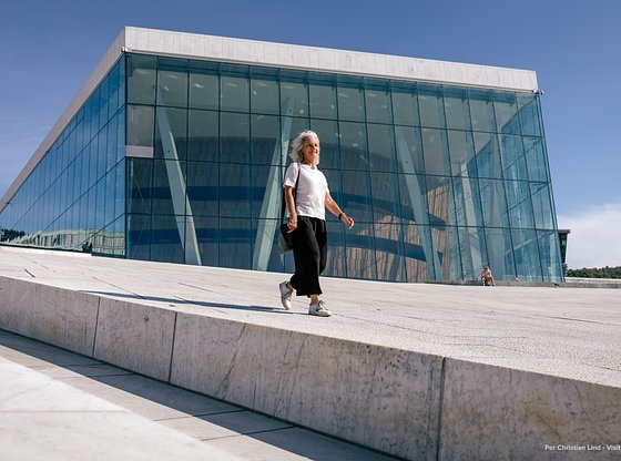 Sites and Insights: An Expert-Led Oslo Welcome Tour