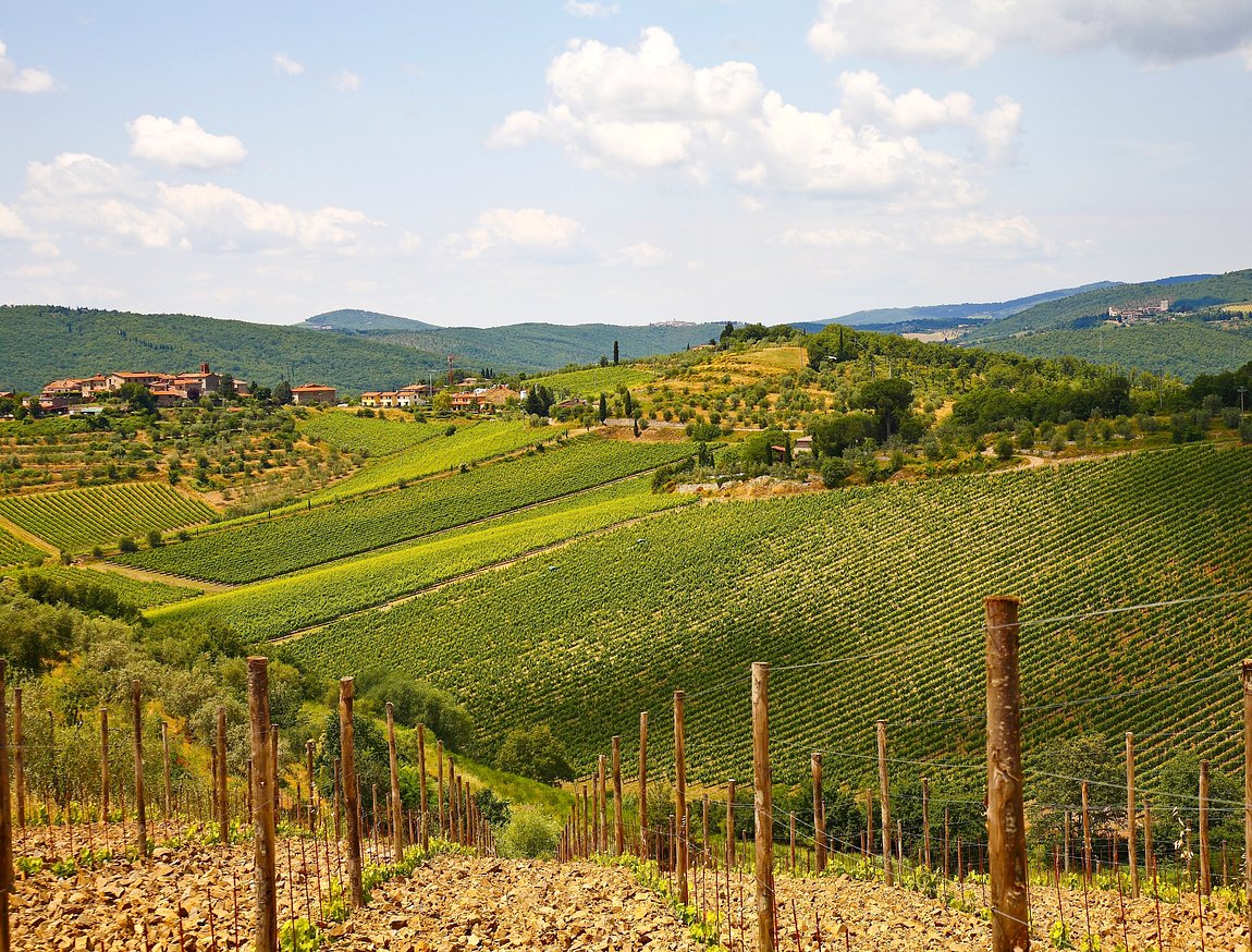 Chianti Wine Day Trip from Siena