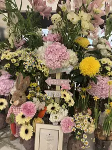 Photo Shared by Robert with their review