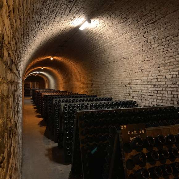 day trip to champagne from paris