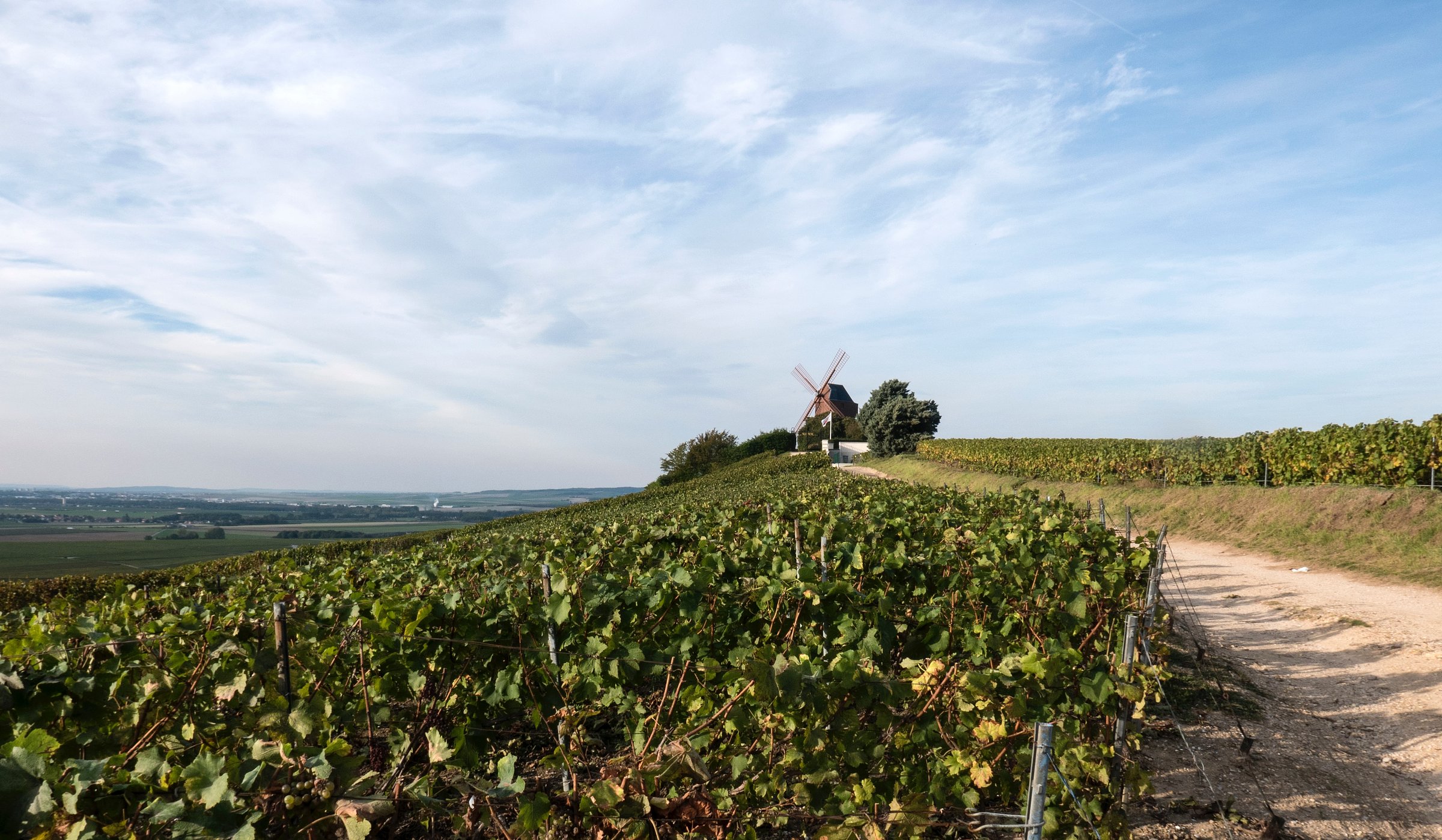 champagne region tours from paris
