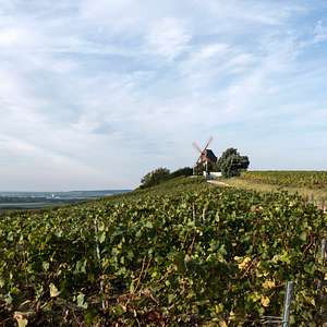 champagne region tours from paris