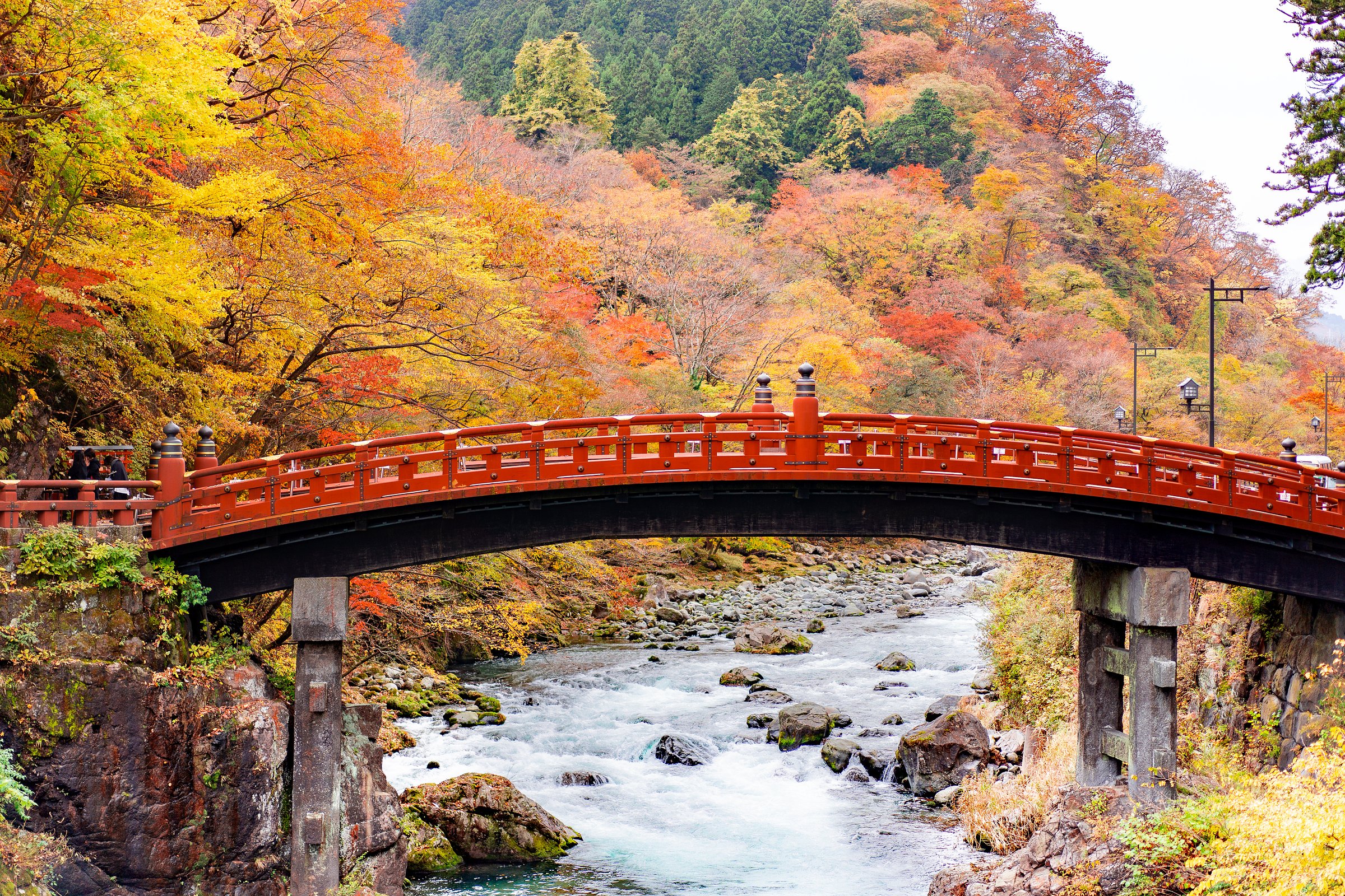 nikko tour from tokyo