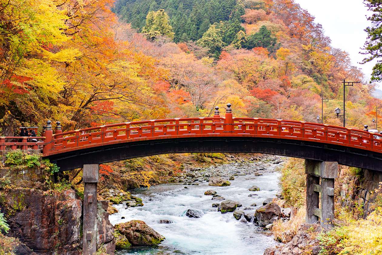 nikko tour from tokyo