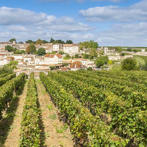 Bordeaux Winery Tours