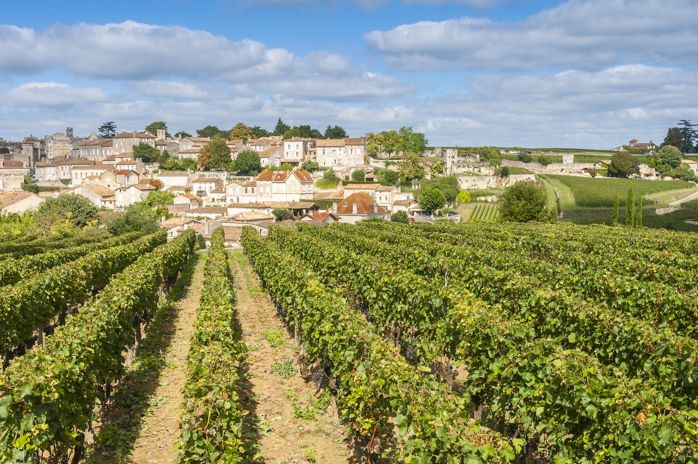 Bordeaux Winery Tours