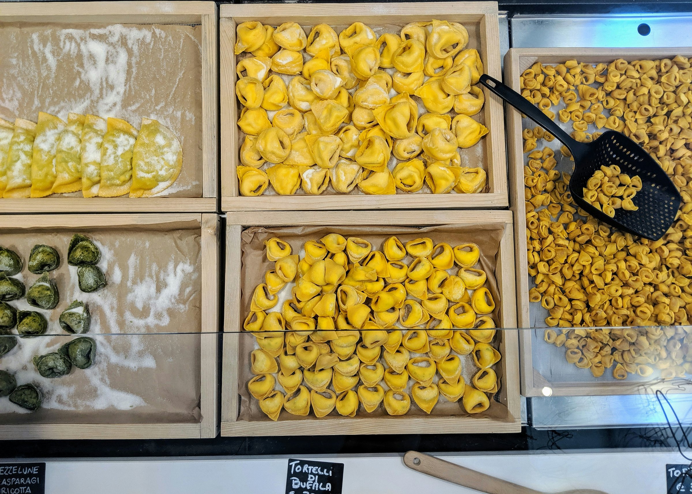 1 day in bologna
