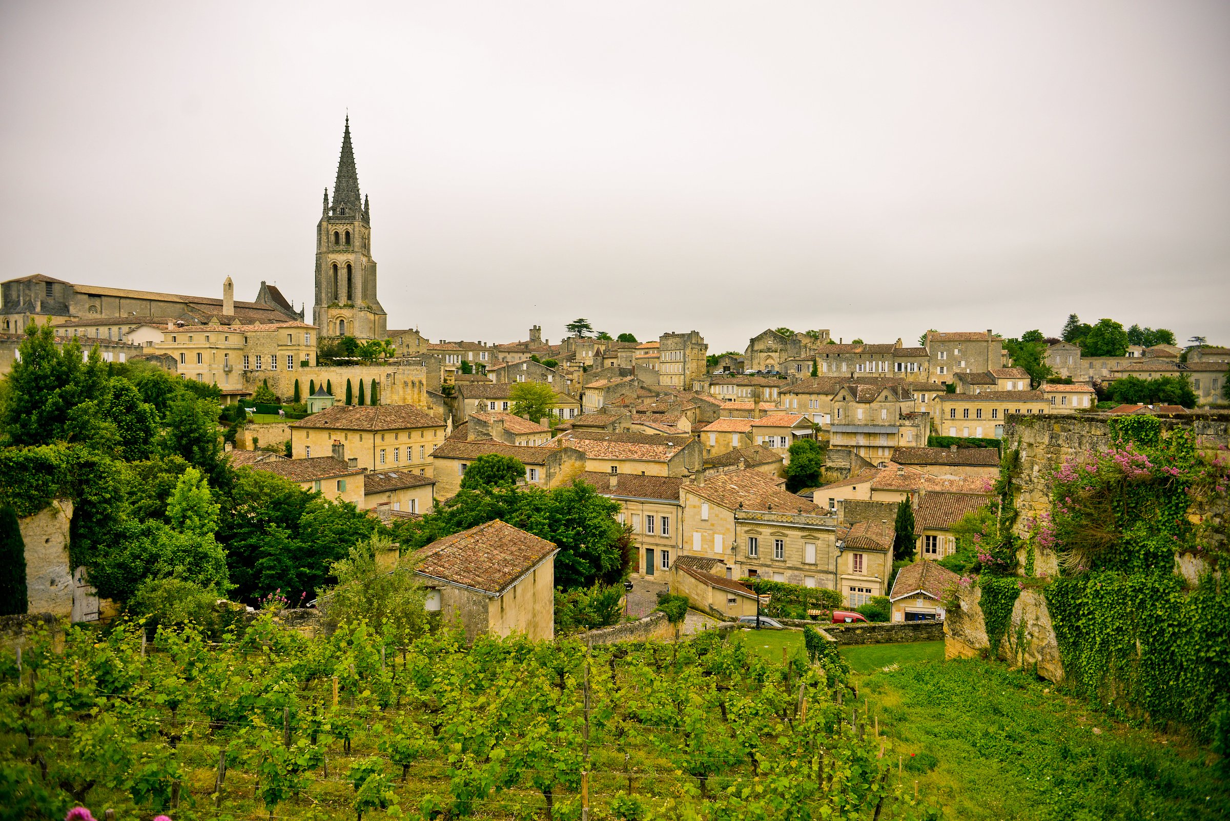 Saint-Émilion Wine Tour