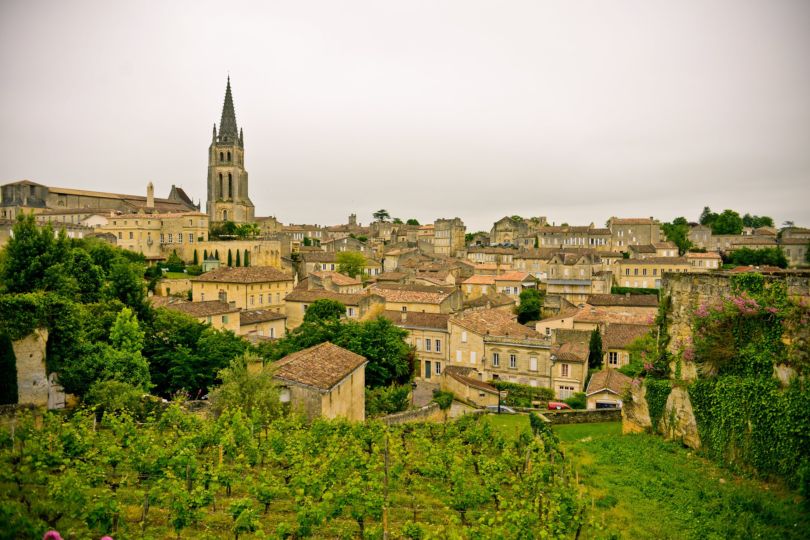 Saint-Émilion Wine Tour