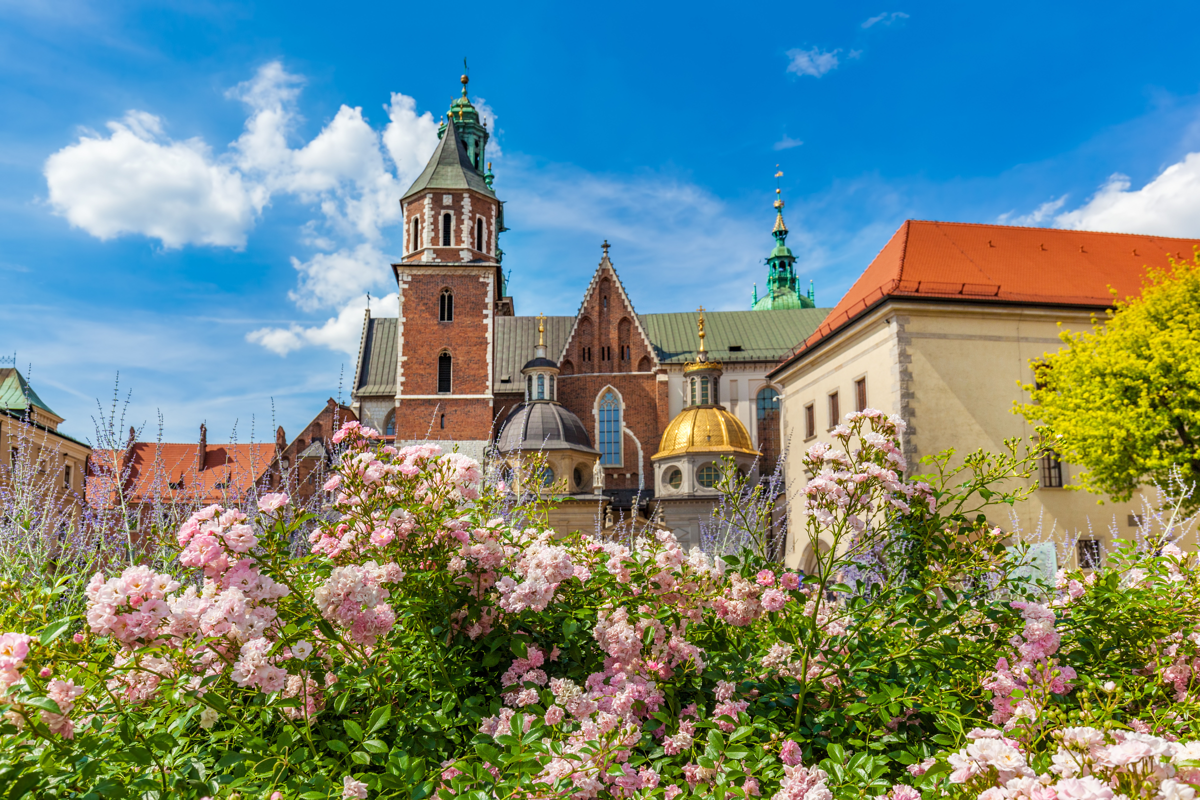 krakow walking tour