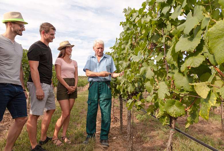 Valpolicella Wine Excursion from Verona