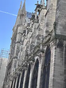 Photo Shared by Tracy with their review