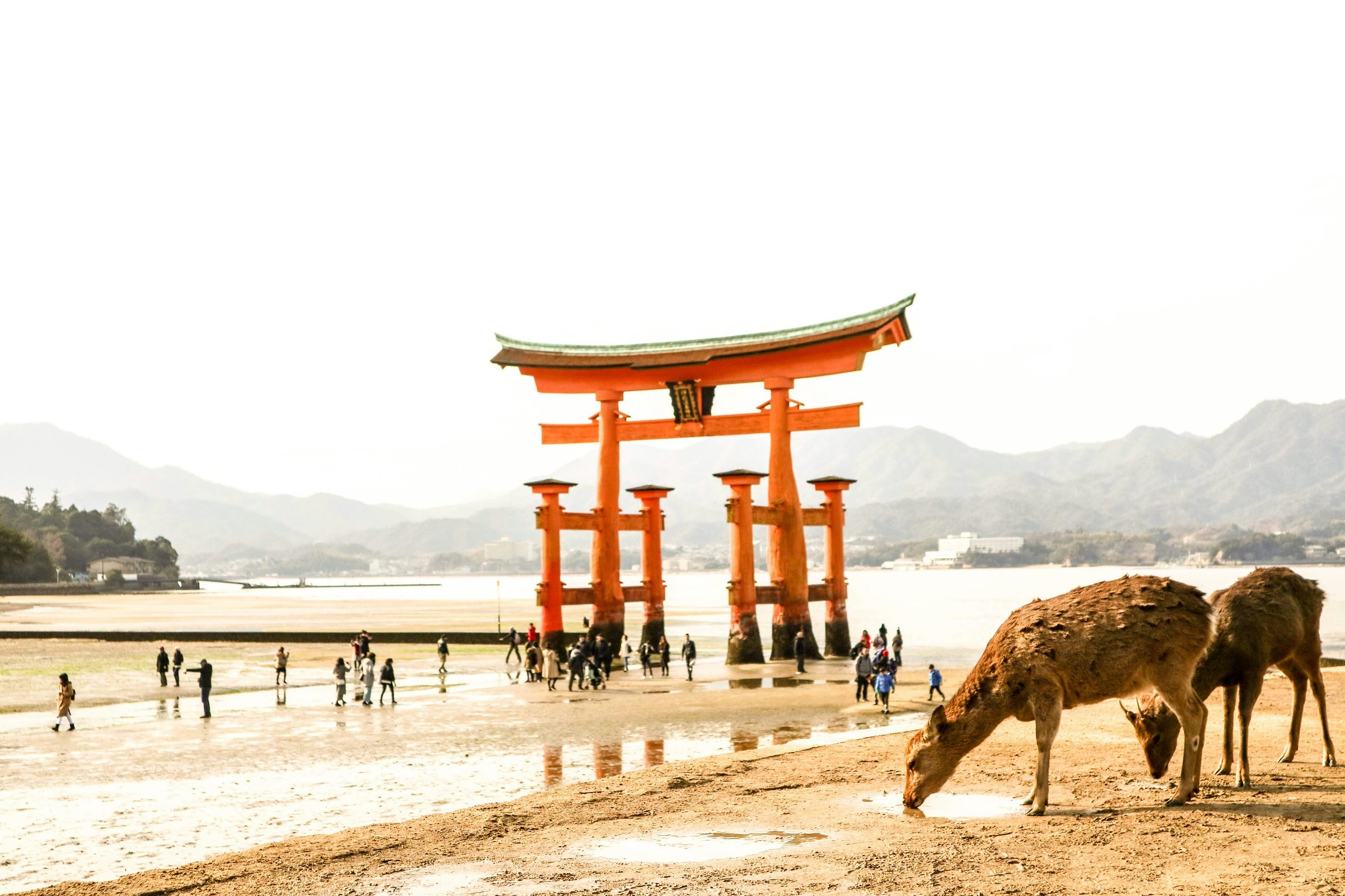 Hiroshima Private Day Tours