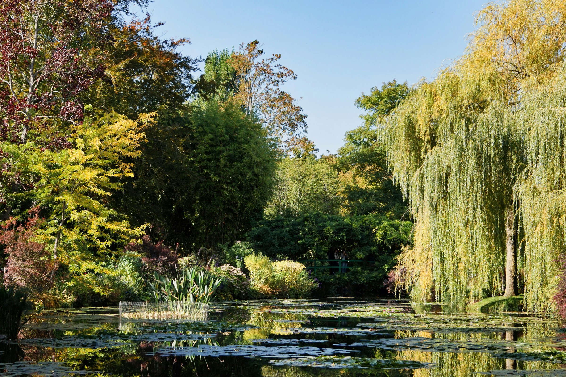 monet garden tour