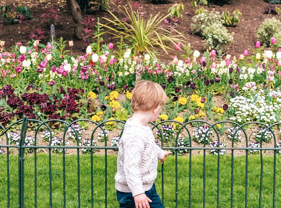 Dublin Tour for Kids: Myths and Meanings