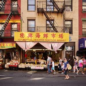 chinatown food tour nyc