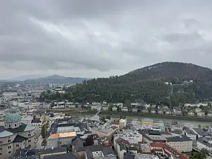 Photo Shared by Steve with their review