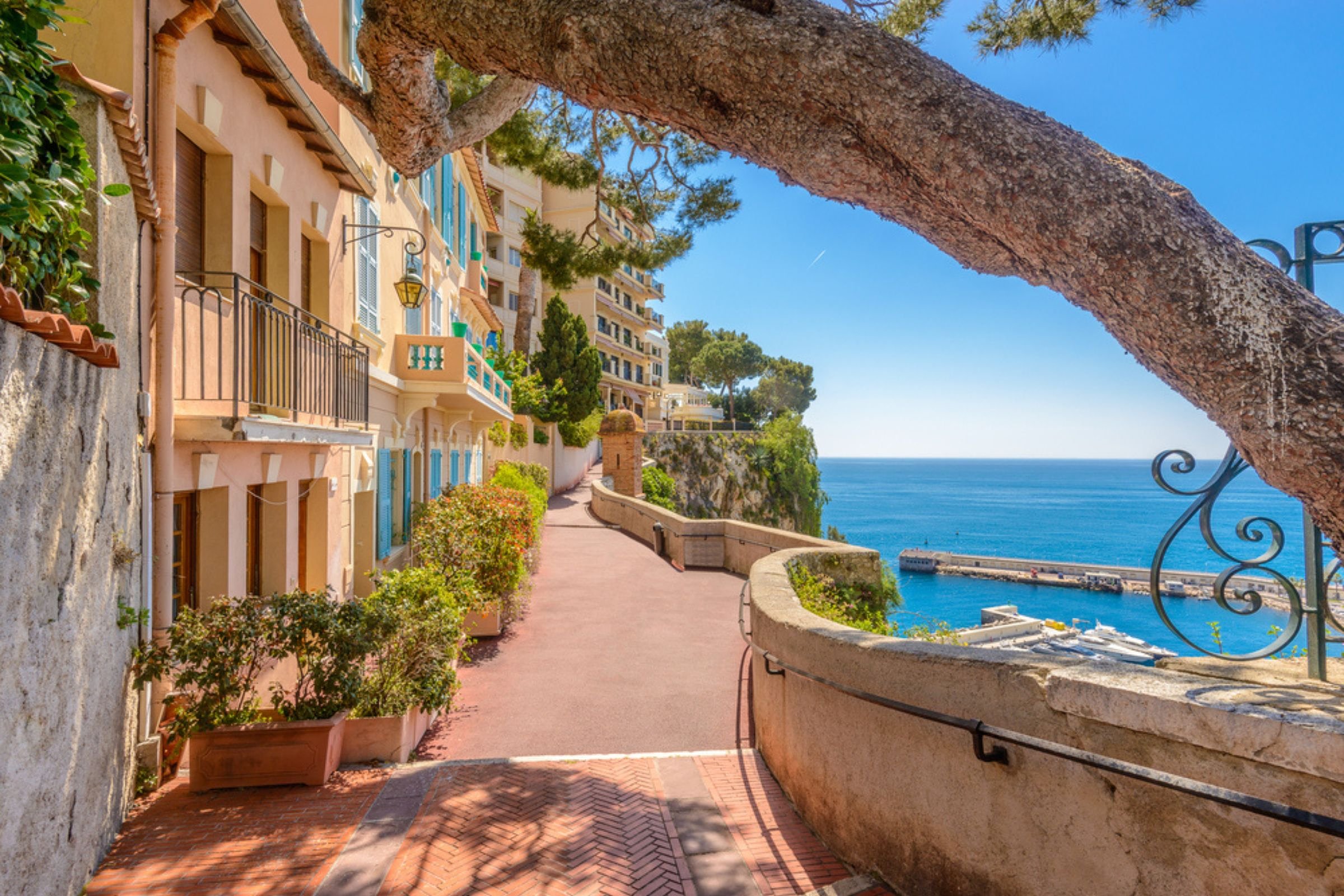 nice to monaco day trip