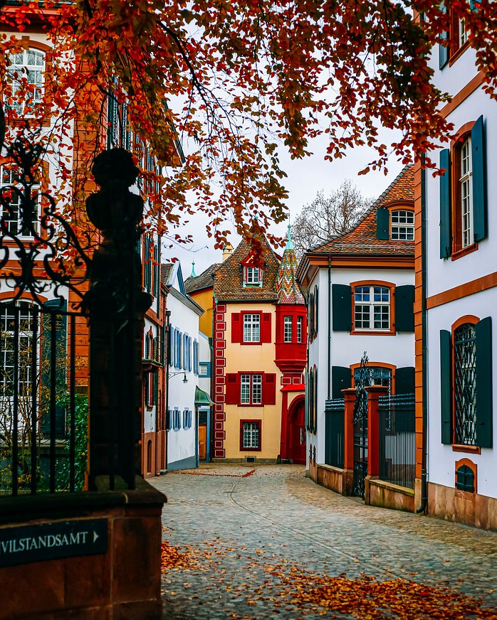 Basel City Tour: History on the Rhine