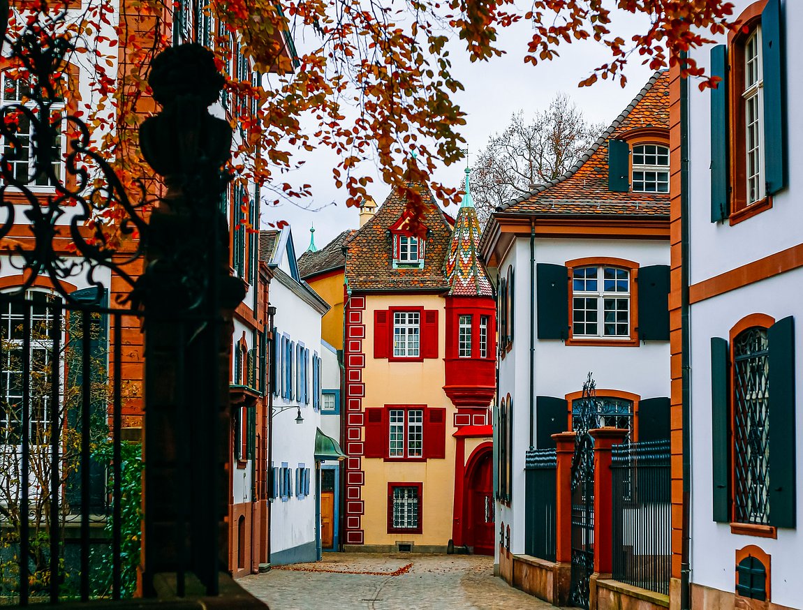 Basel Highlights Tour: History on the Rhine