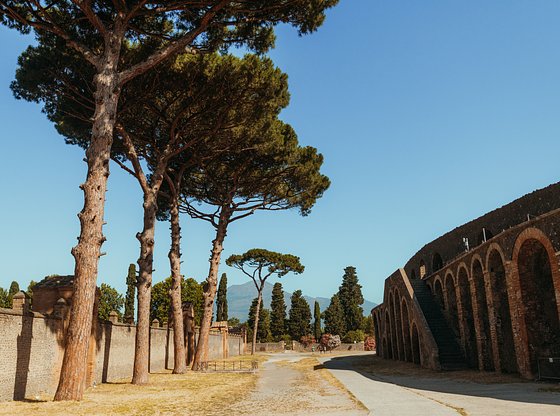 Full-Day Pompeii Day Trip from Naples with Skip-the-Line Tickets