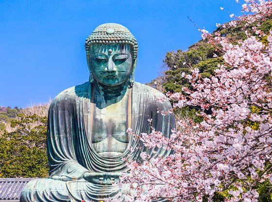 Half-Day Kamakura Day Trip from Tokyo