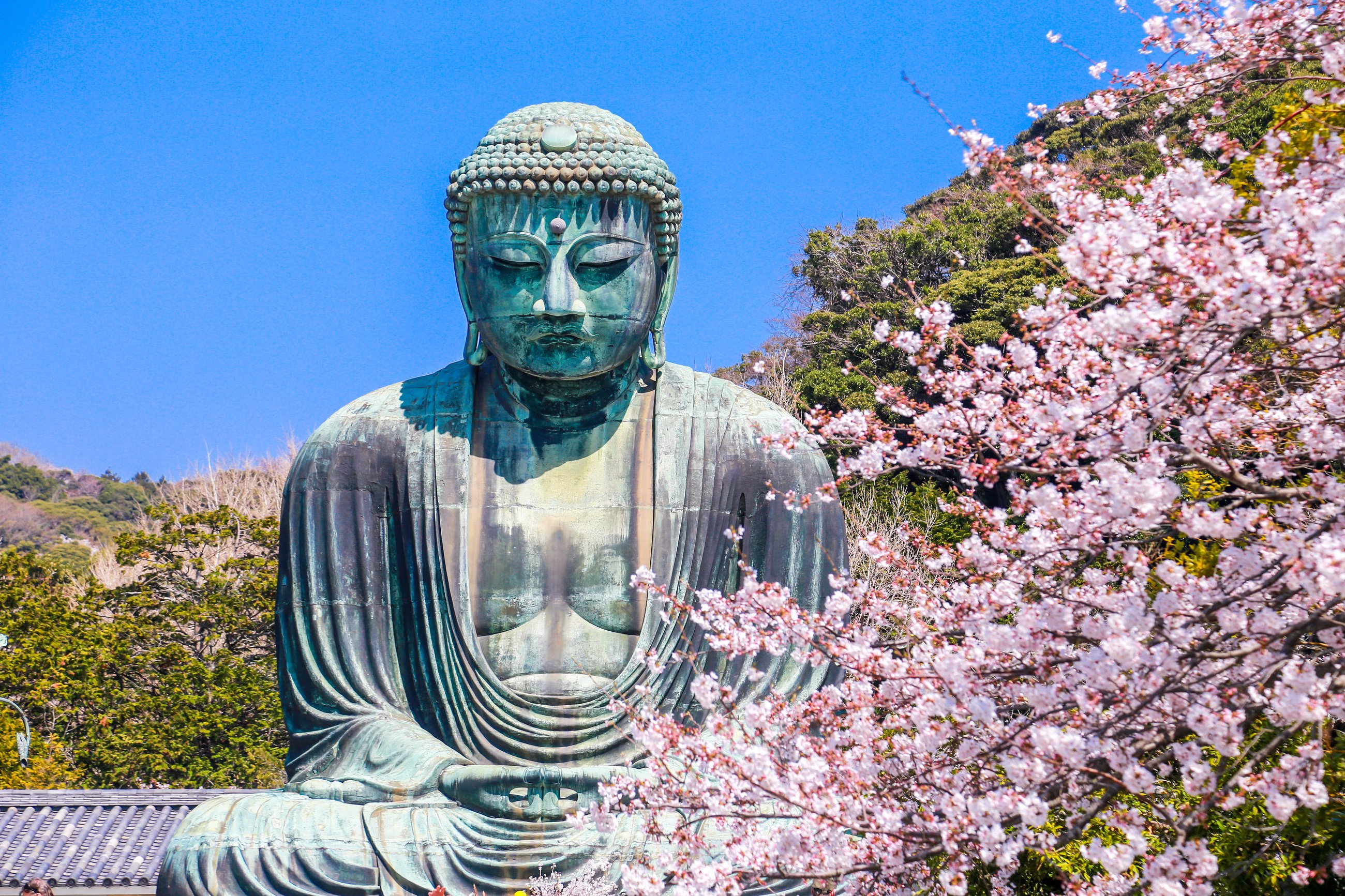 kamakura day trip from tokyo
