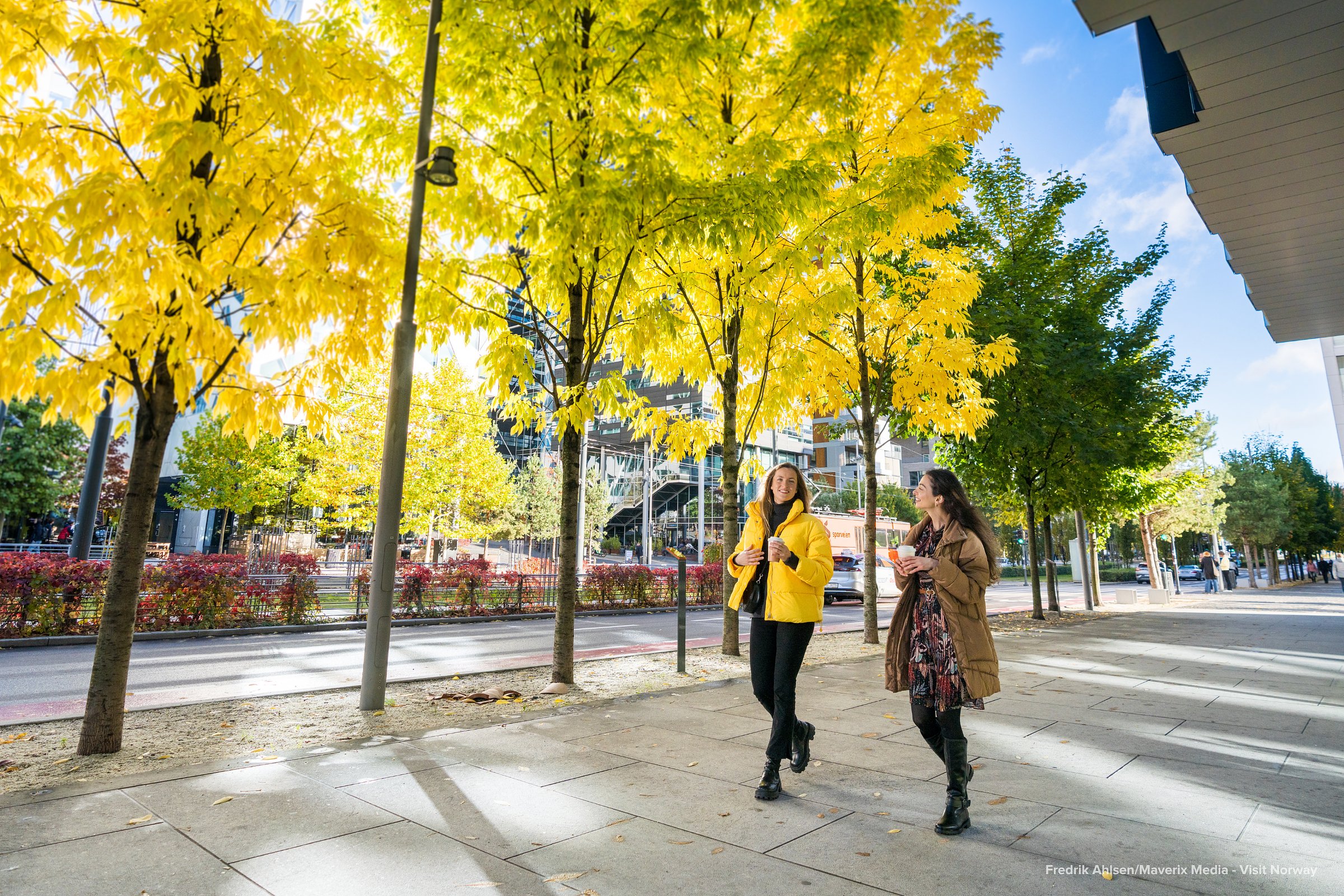 Two women walk under bright yellow autumn trees in Oslo’s modern city center.