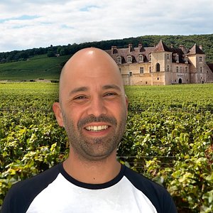 french wine regions