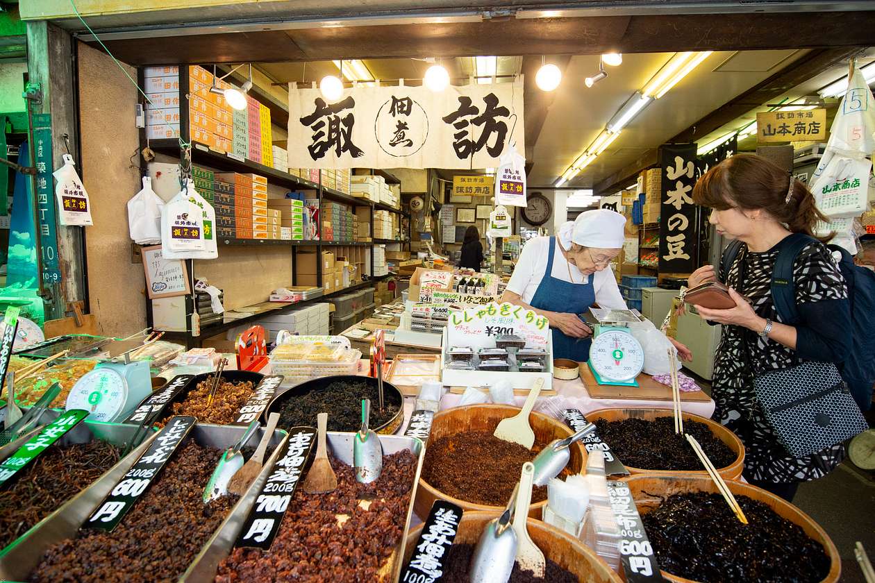 tsukiji fish market tour
