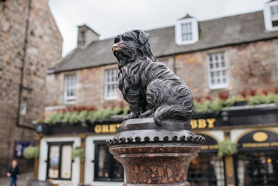 Edinburgh Private Tours