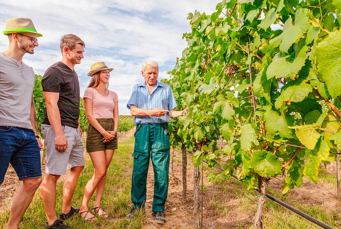 Valpolicella Wine Excursion from Verona