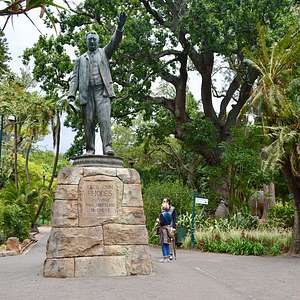 Introduction Day Tour in Cape Town