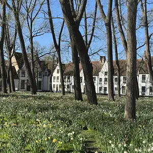 Photo Shared by Neena with their review