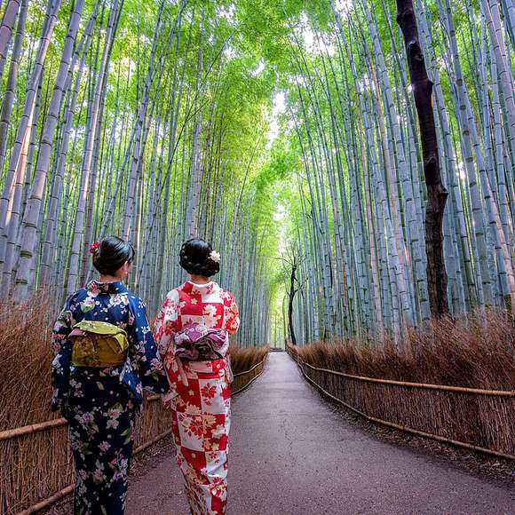 arashiyama bamboo grove