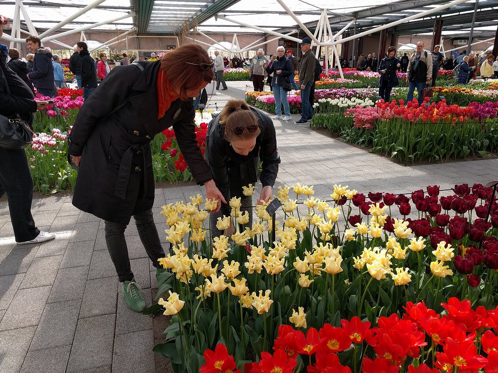 keukenhof tour from amsterdam