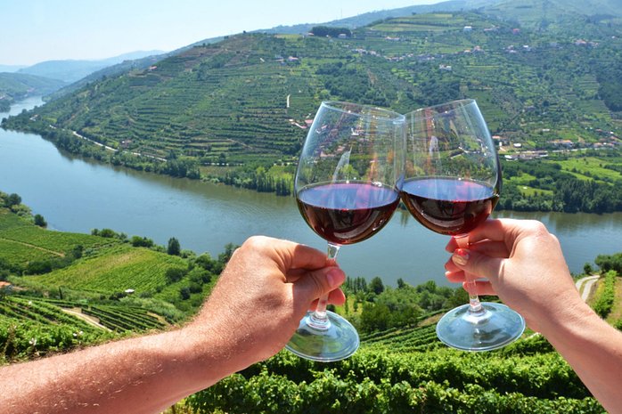 Douro Valley Full Day Wine Tour from Porto