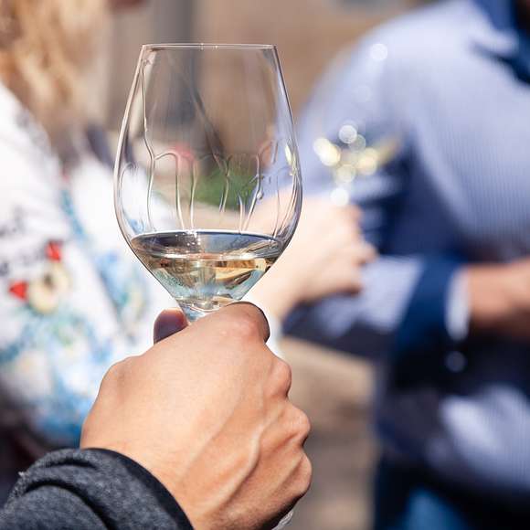 wine tour burgundy france