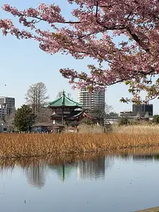 Photo Shared by Kellie with their review